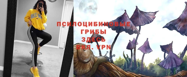 МДПВ Беломорск