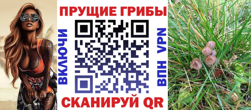 Купить закладки Чапаевск Галлюциногенные грибы мицелий